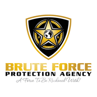 Brute Force protection Agency logo, Brute Force protection Agency contact details