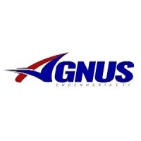 Agnus Engenharia & TI logo, Agnus Engenharia & TI contact details