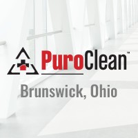 PuroClean Professional Services logo, PuroClean Professional Services contact details