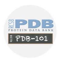 RCSB Protein Data Bank logo, RCSB Protein Data Bank contact details