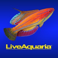 LiveAquaria logo, LiveAquaria contact details