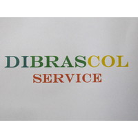 DIBRASCOL SERVICE logo, DIBRASCOL SERVICE contact details