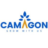 Camagon Business Solutions logo, Camagon Business Solutions contact details