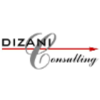 Dizani Consulting logo, Dizani Consulting contact details