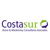 Costasur limitada logo, Costasur limitada contact details