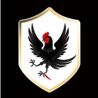 Black Rooster Inc. logo, Black Rooster Inc. contact details