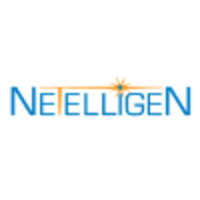 Netelligen, Inc. logo, Netelligen, Inc. contact details