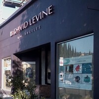 B. David Levine logo, B. David Levine contact details