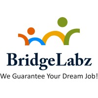 BridgeLabz logo, BridgeLabz contact details