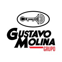 Master Lease de Gustavo Molina logo, Master Lease de Gustavo Molina contact details