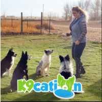 K9cation logo, K9cation contact details