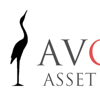 Avondale Asset Management logo, Avondale Asset Management contact details