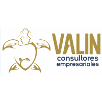 Valin Consultores Empresariales logo, Valin Consultores Empresariales contact details