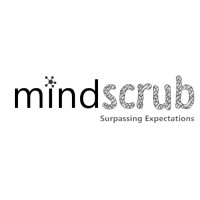 Mindscrub Technologies logo, Mindscrub Technologies contact details