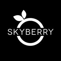 SkyBerry S.R.L logo, SkyBerry S.R.L contact details