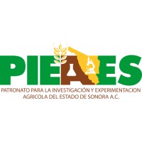 PIEAES A.C. logo, PIEAES A.C. contact details