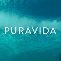 Puravida Study logo, Puravida Study contact details