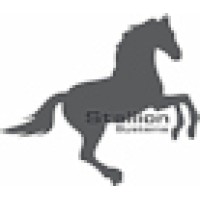 Stallion Systems logo, Stallion Systems contact details