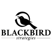 Blackbird Strategies logo, Blackbird Strategies contact details