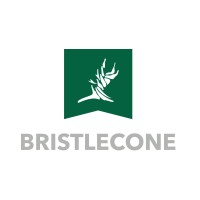 Bristlecone Construction logo, Bristlecone Construction contact details