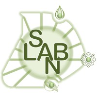 Laboratório Multiusuário de Saneamento (LABSAN) logo, Laboratório Multiusuário de Saneamento (LABSAN) contact details