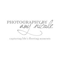 Photography by Amy Nicole logo, Photography by Amy Nicole contact details