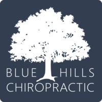 Blue Hills Chiropractic LLC logo, Blue Hills Chiropractic LLC contact details