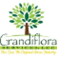 Grandiflora Services logo, Grandiflora Services contact details