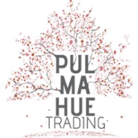 Pulmahue Trading logo, Pulmahue Trading contact details