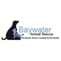 Baywater Animal Rescue logo, Baywater Animal Rescue contact details