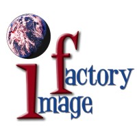 The image factory LLC logo, The image factory LLC contact details