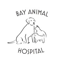 Bay Animal Hospital logo, Bay Animal Hospital contact details