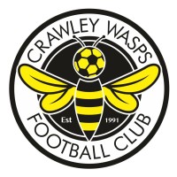 Crawley Wasps LFC logo, Crawley Wasps LFC contact details