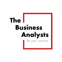 The Business Analysts NV logo, The Business Analysts NV contact details