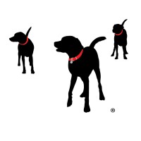 BISSELL Pet Foundation logo, BISSELL Pet Foundation contact details