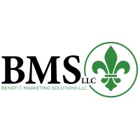 BMS LLC logo, BMS LLC contact details