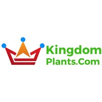 Kingdom Plants logo, Kingdom Plants contact details