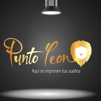 Punto León logo, Punto León contact details