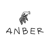 ANBER logo, ANBER contact details