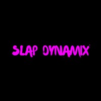 Slap Dynamix LLC. logo, Slap Dynamix LLC. contact details