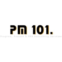 PM101 Consulting logo, PM101 Consulting contact details