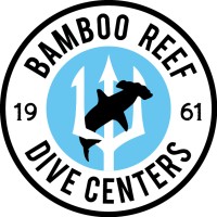 Bamboo Reef Enterprises logo, Bamboo Reef Enterprises contact details