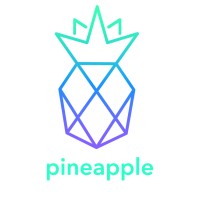 PINEAPPLE DIGITAL AGENCY & BUSINESS INTELLIGENCE logo, PINEAPPLE DIGITAL AGENCY & BUSINESS INTELLIGENCE contact details