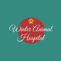 Winter Animal Hospital logo, Winter Animal Hospital contact details