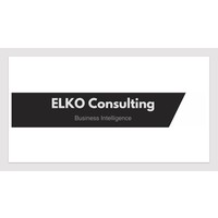 ELKO Consulting logo, ELKO Consulting contact details