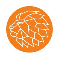 Lion Net logo, Lion Net contact details