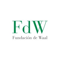 Fundación de Waal / De Waal Foundation /Stichting de Waal logo, Fundación de Waal / De Waal Foundation /Stichting de Waal contact details