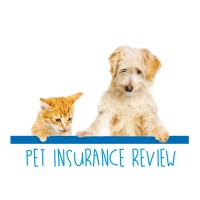 Pet Insurance Review logo, Pet Insurance Review contact details