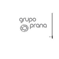 Grupo Prana S.A. logo, Grupo Prana S.A. contact details