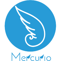 Mercurio srl logo, Mercurio srl contact details